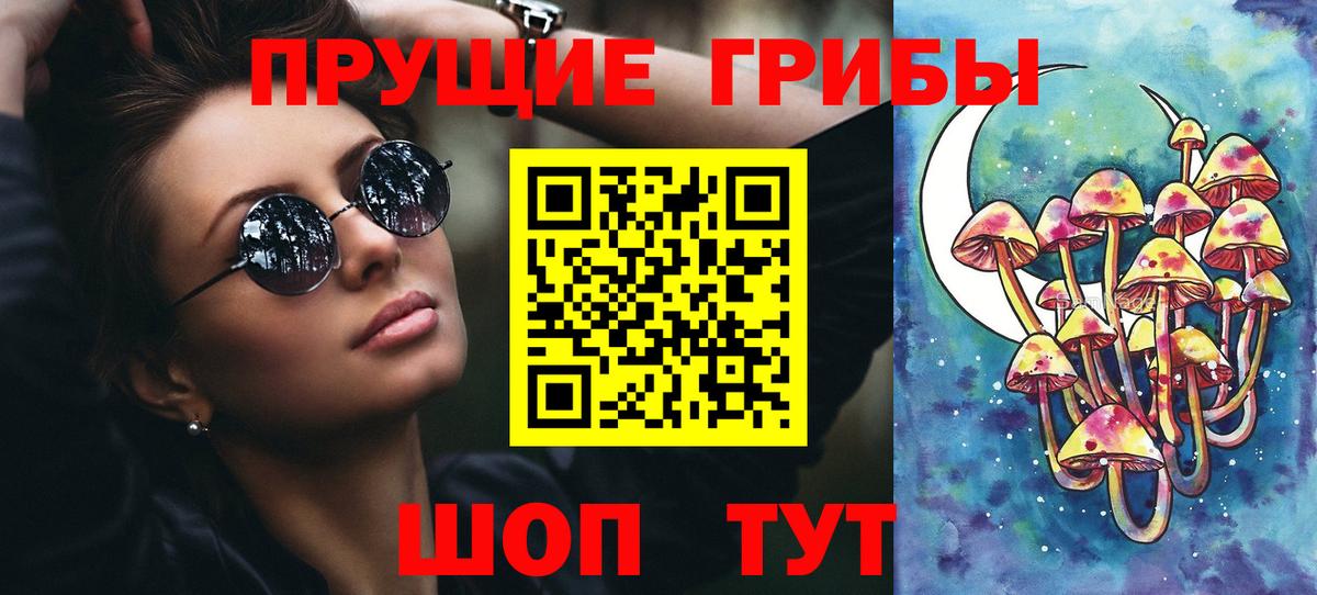 продажа наркотиков  Галлюциногенные грибы MAGIC MUSHROOMS  Вход с VPN  Шатура 