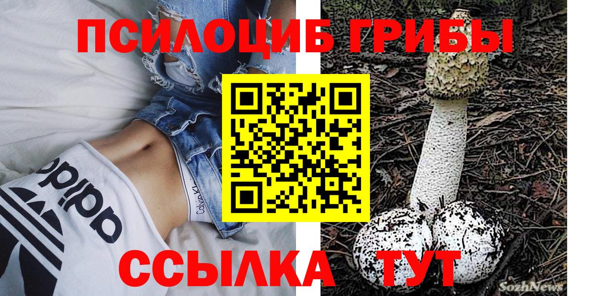 Псилоцибиновые грибы Psilocybe Шатура